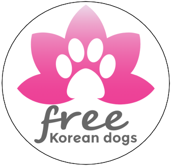 Free Korean Dogs