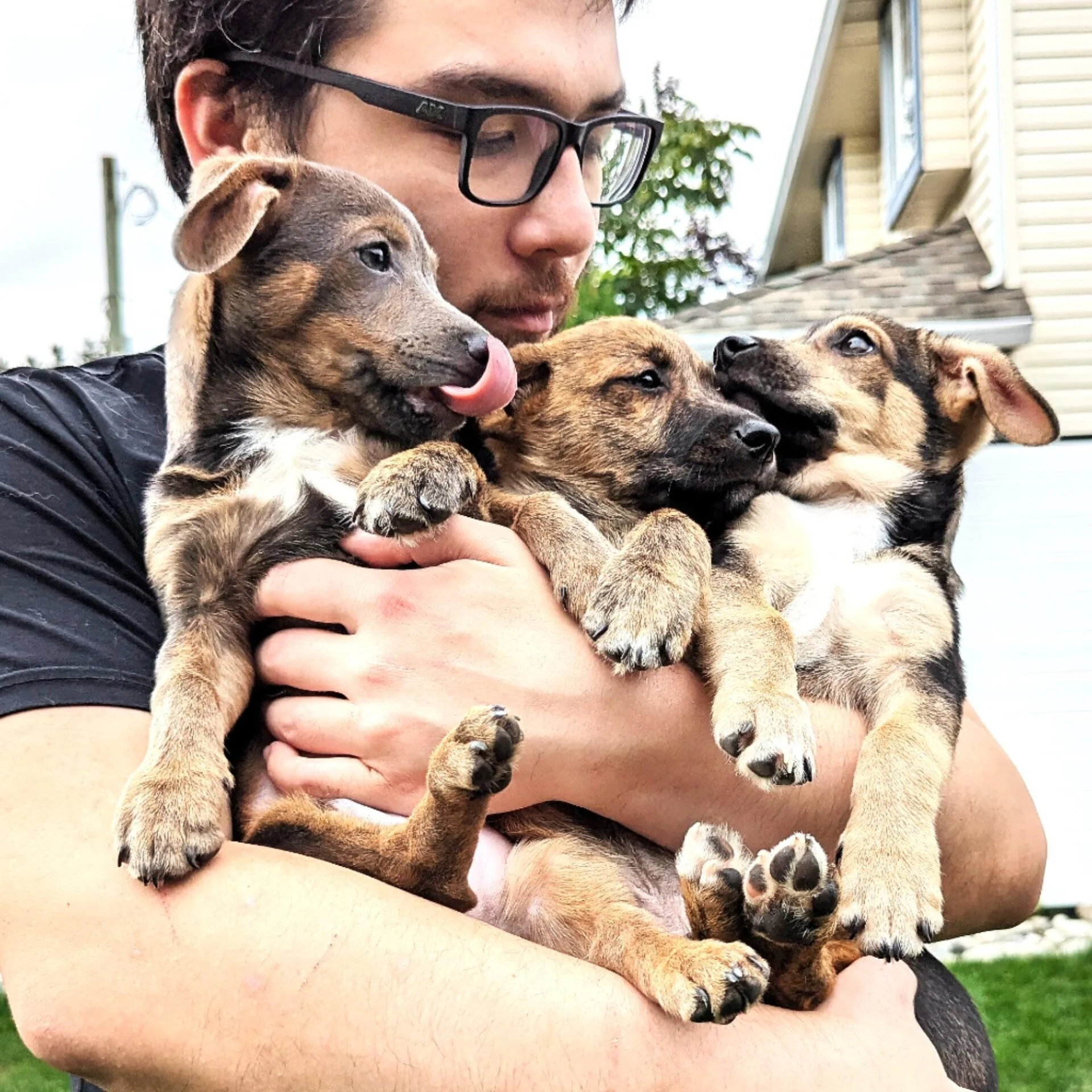 Jay with three puppies