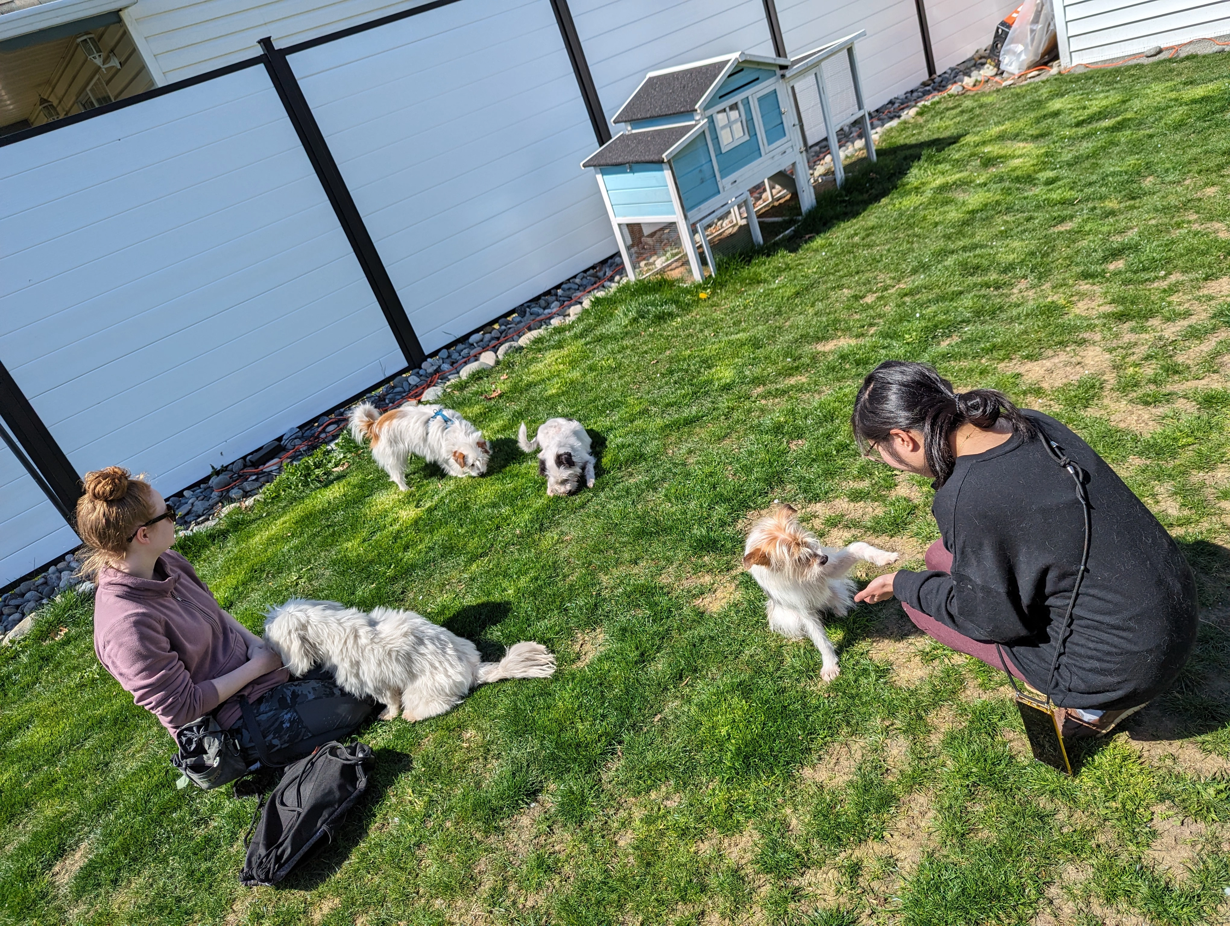 Sydney and Sarah with rescued dogs